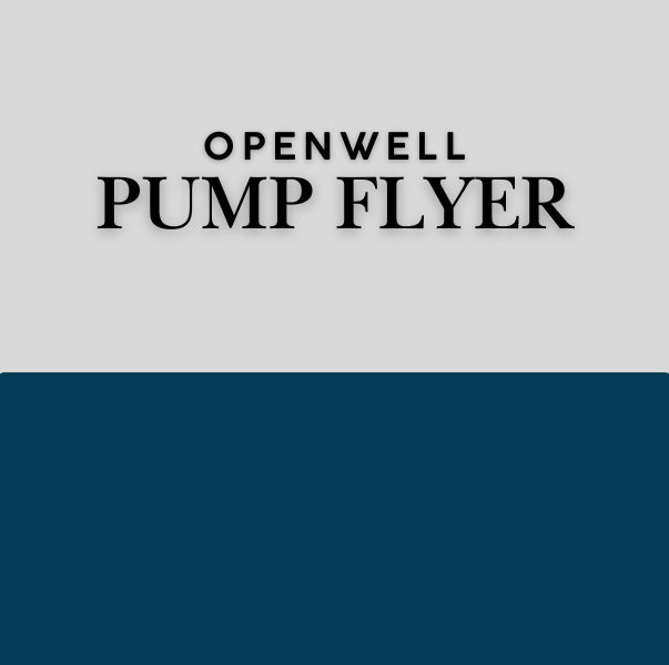 6" SSSM Water Lubricated Motor